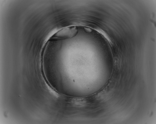 X0000092101143200709121539