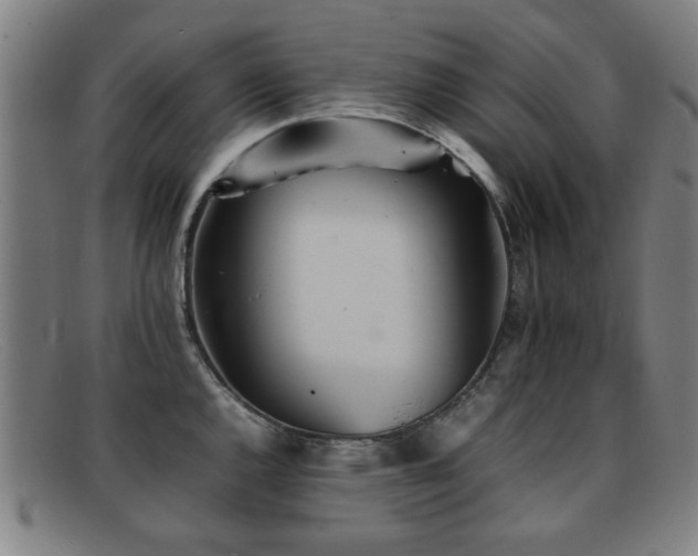 X0000092101144200709121539