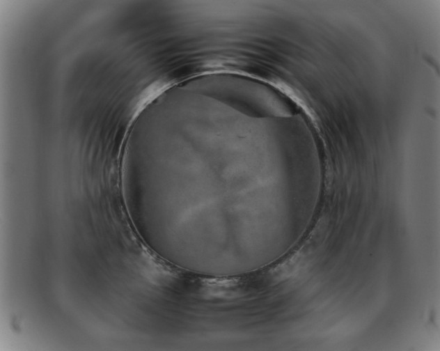X0000092101145200709121540