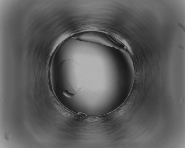 X0000092101146200709121540