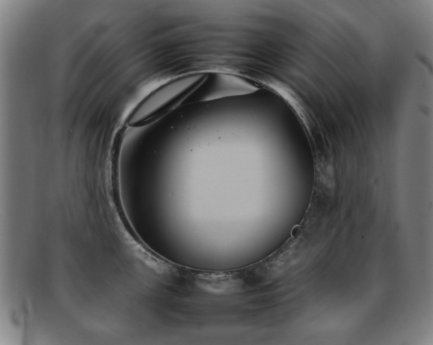 X0000092101147200709121540