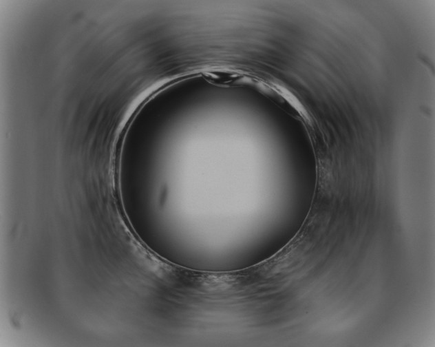 X0000092101148200709121540
