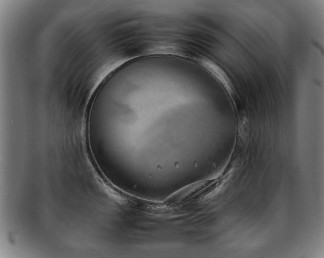 X0000092101149200709121540