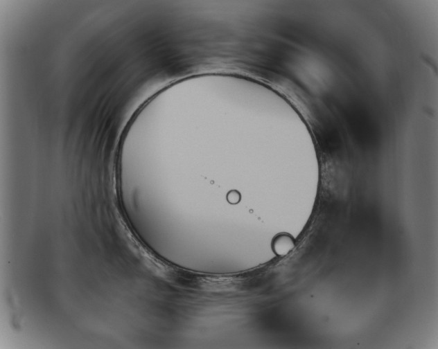 X0000092101150200709121540