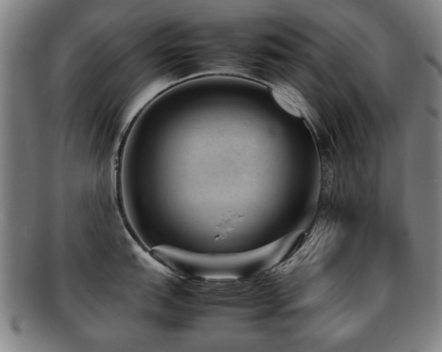 X0000092101151200709121540