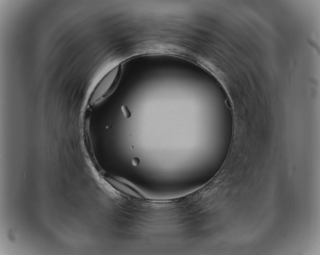 X0000092101152200709121540