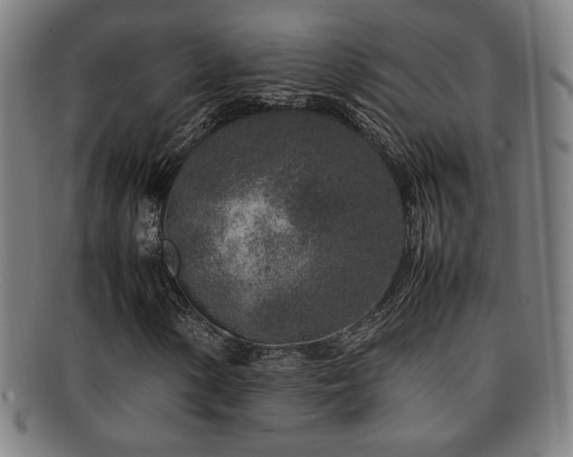 X0000092101154200709121539