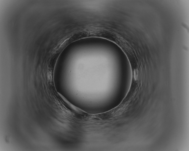 X0000092101155200709121539