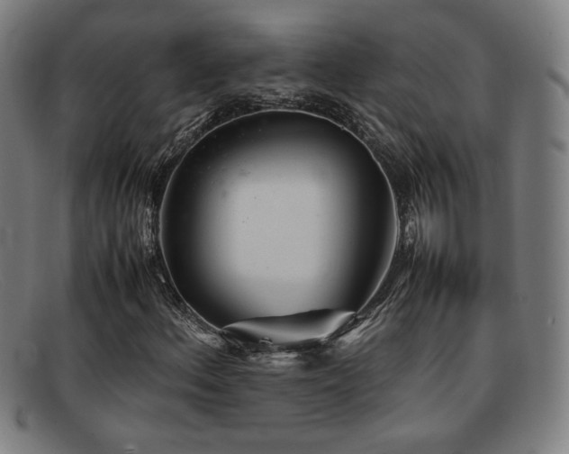 X0000092101156200709121539