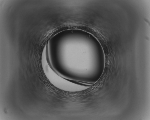X0000092101157200709121539