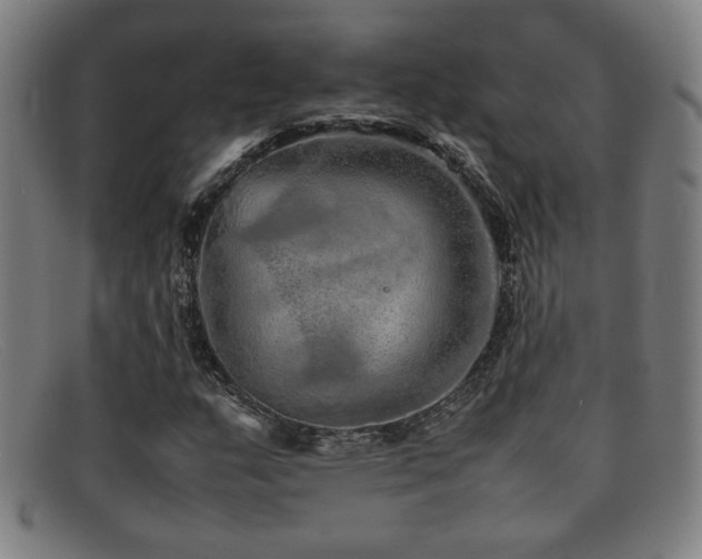 X0000092101159200709121539