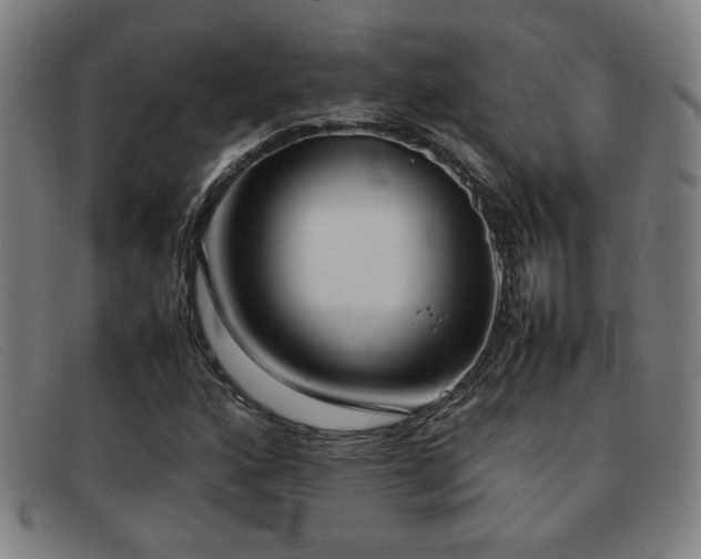 X0000092101160200709121539
