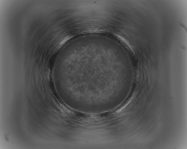 X0000092101161200709121539
