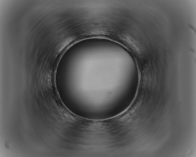X0000092101162200709121539