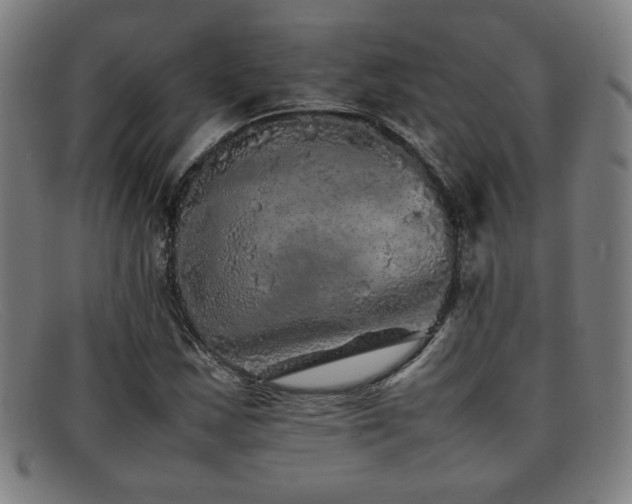 X0000092101163200709121539