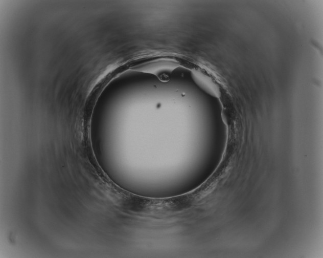 X0000092101165200709121539