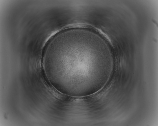 X0000092101166200709121539