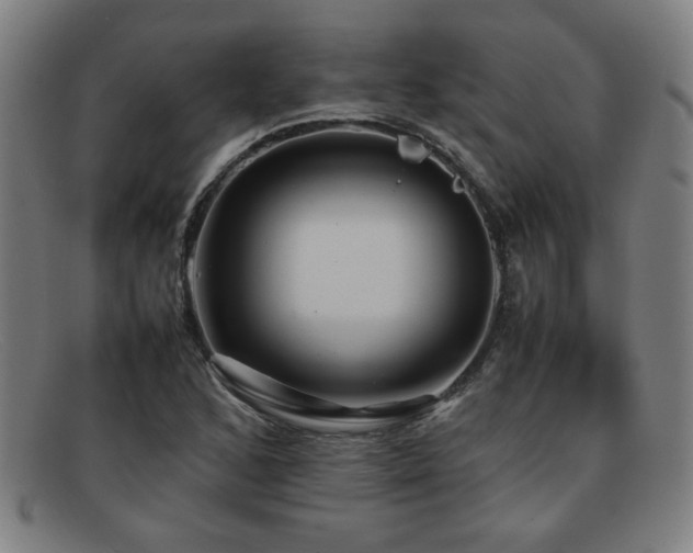X0000092101168200709121539