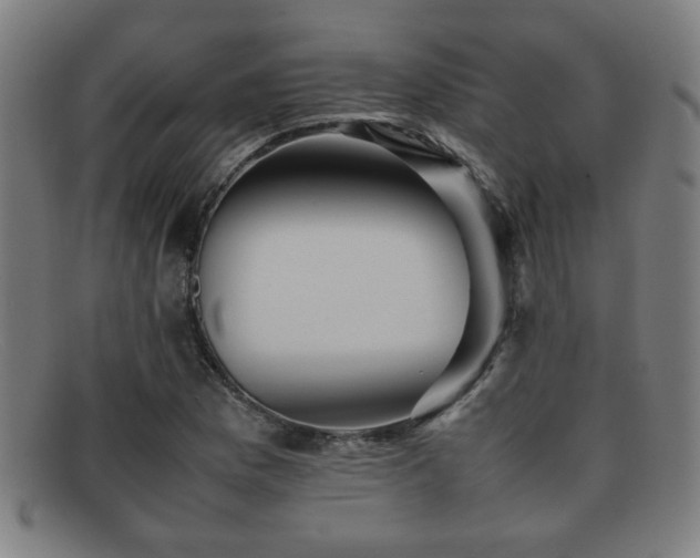 X0000092101169200709121539