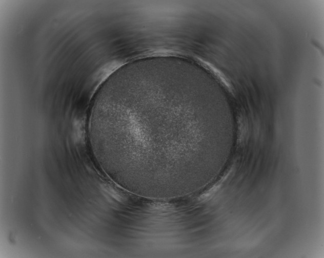 X0000092101170200709121539