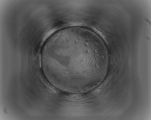 X0000092101171200709121539