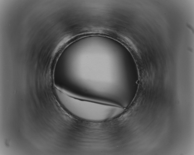X0000092101172200709121539