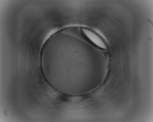 X0000092101173200709121539