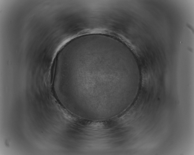 X0000092101174200709121539