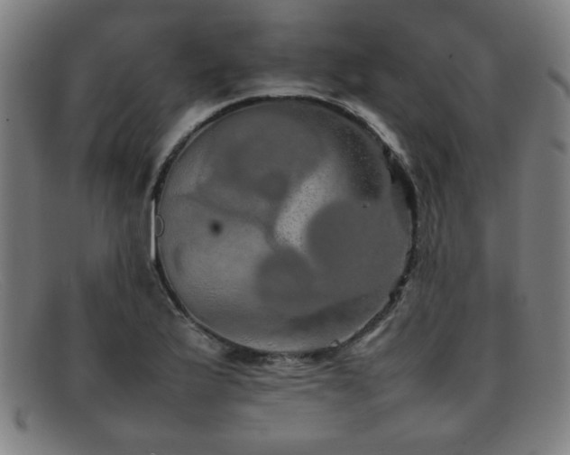 X0000092101175200709121539