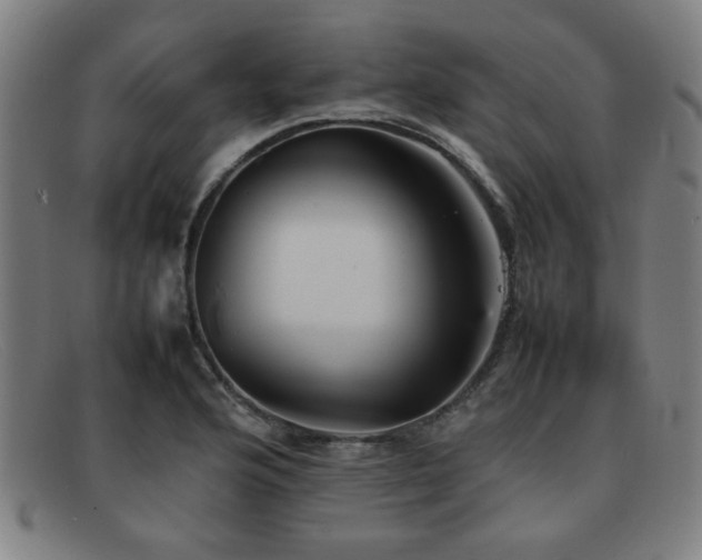 X0000092101176200709121539