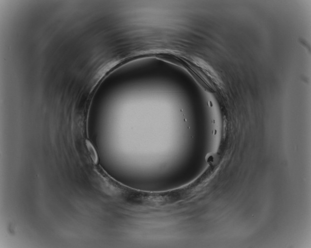 X0000092101177200709121539