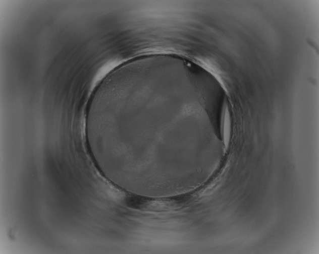 X0000092101179200709121539