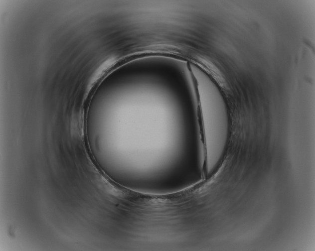 X0000092101180200709121539