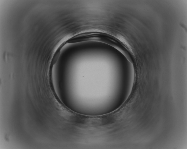 X0000092101181200709121539