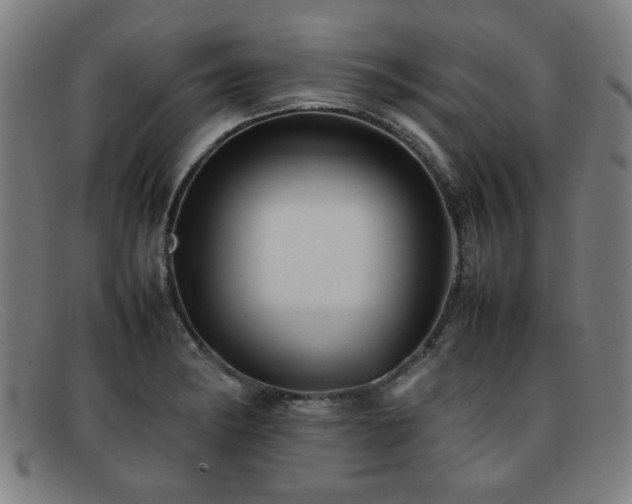 X0000092101182200709121539