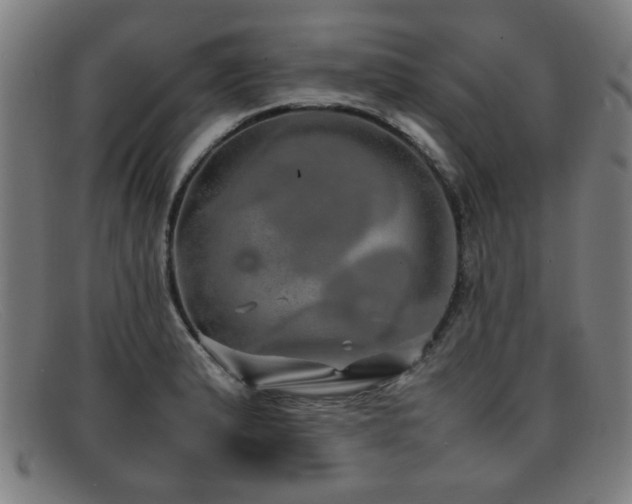 X0000092101183200709121539