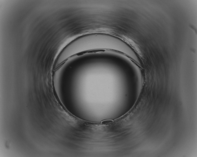 X0000092101184200709121539