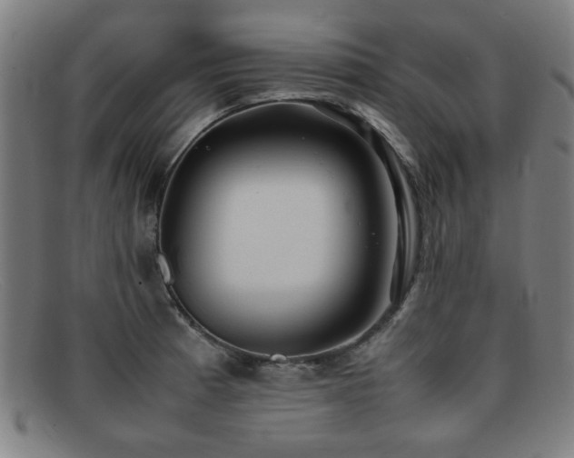 X0000092101185200709121539