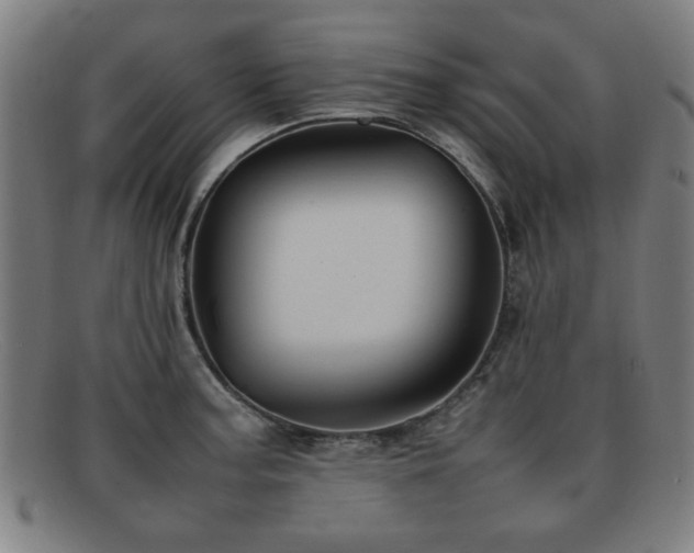 X0000092101187200709121539