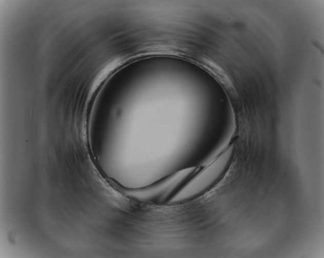 X0000092101188200709121539