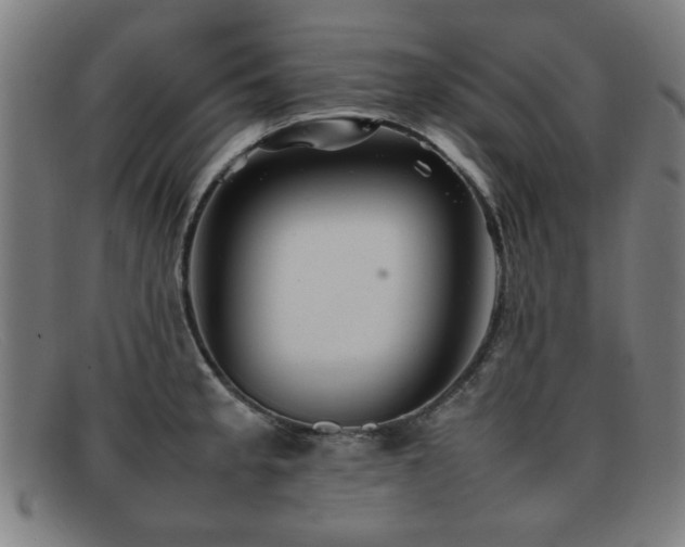 X0000092101189200709121539