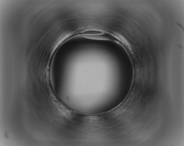 X0000092101190200709121539