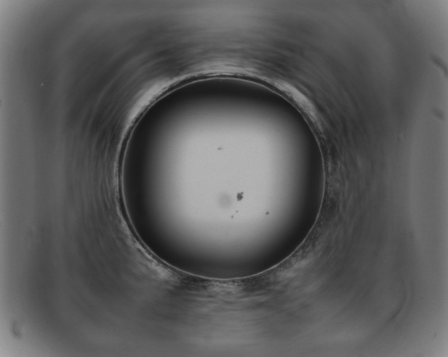 X0000092101191200709121539