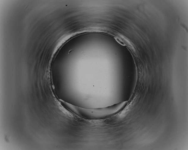 X0000092101192200709121539