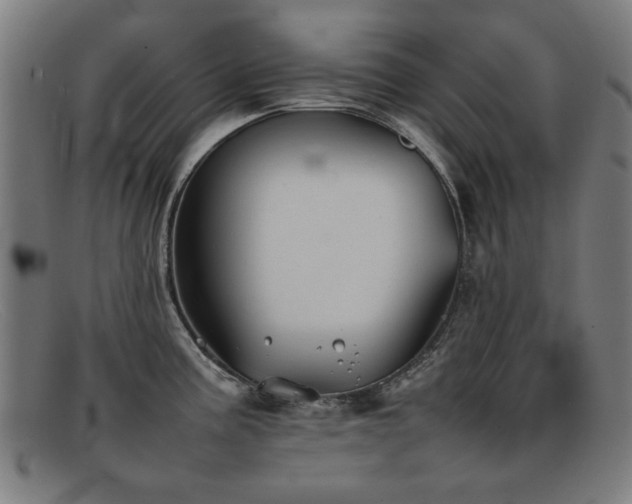 X0000092101195200709121539