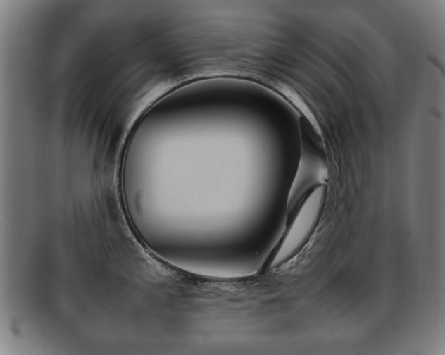 X0000092101197200709121539