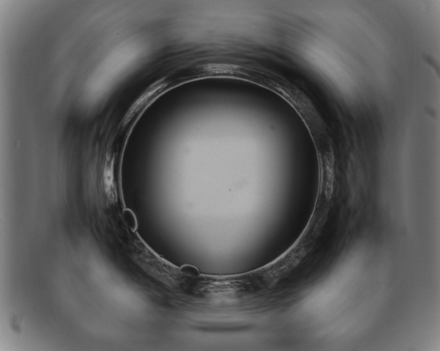 X0000092101198200709121538