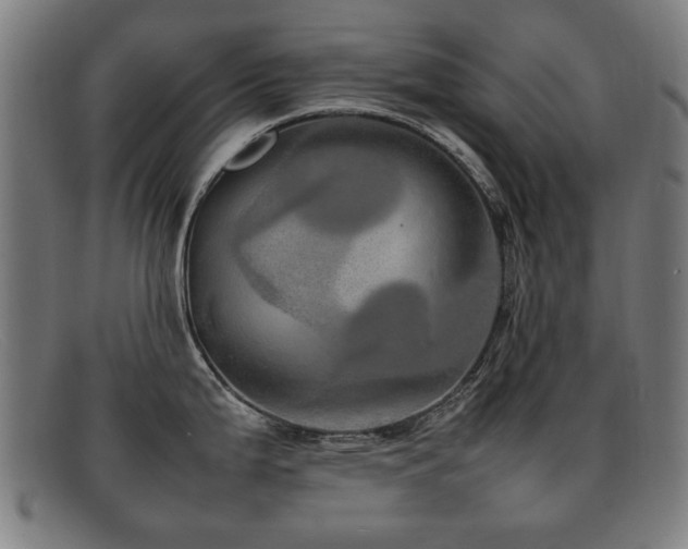 X0000092101199200709121538