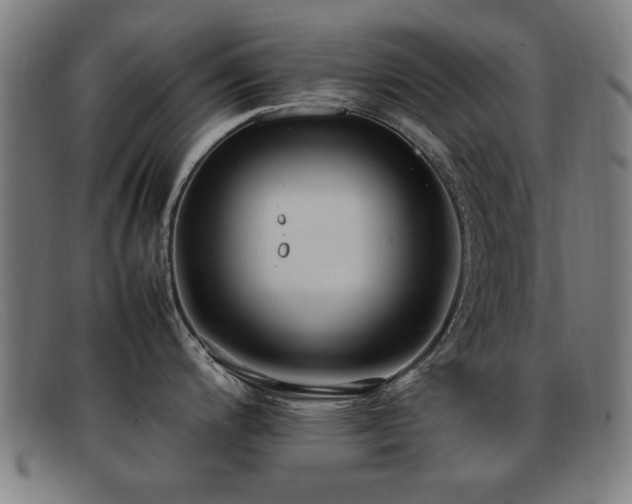 X0000092101200200709121538
