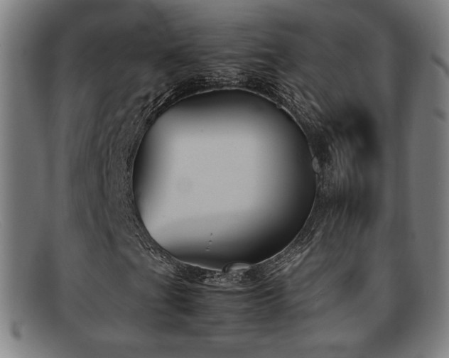 X0000092101201200709121538